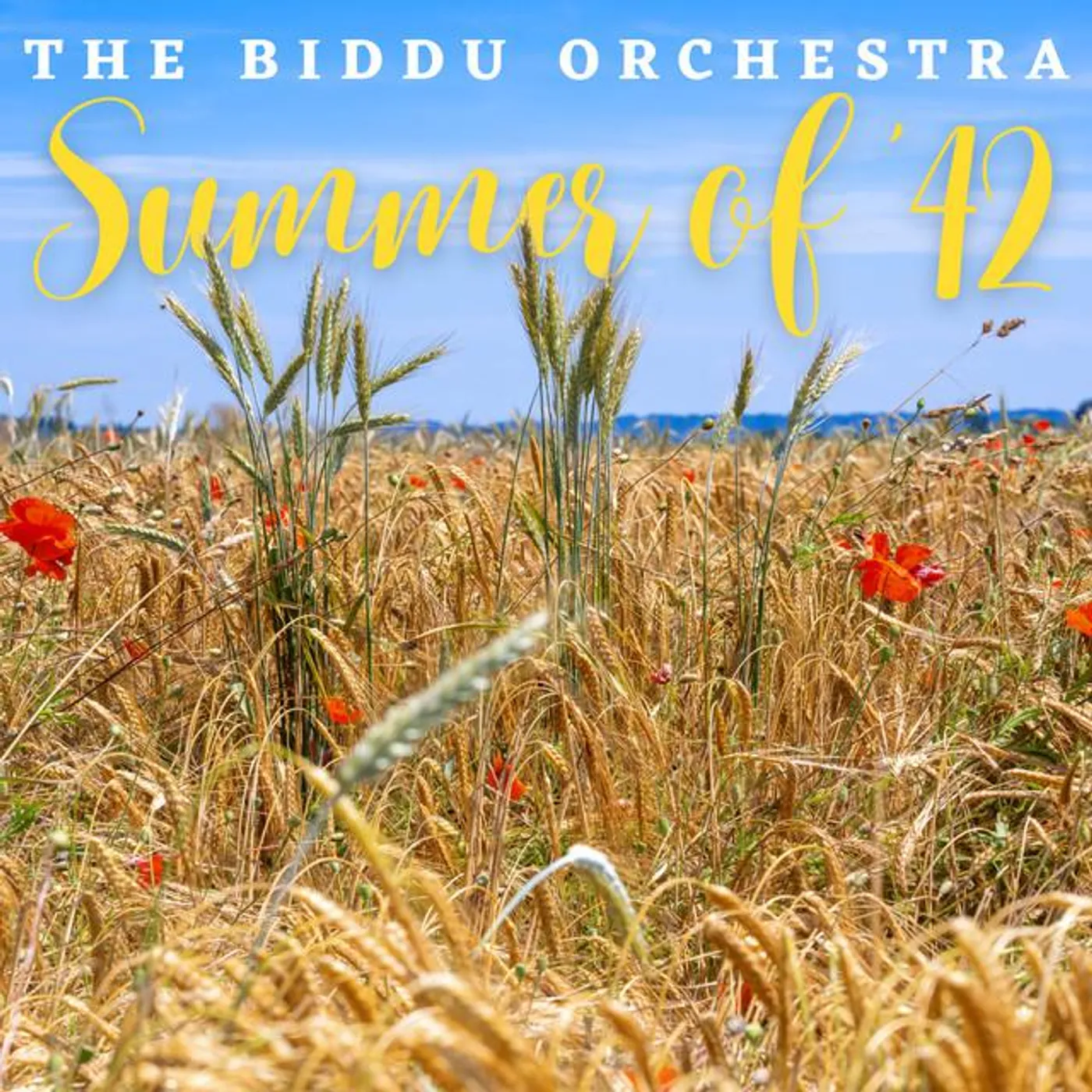 The Biddu Orchestra Brand Page