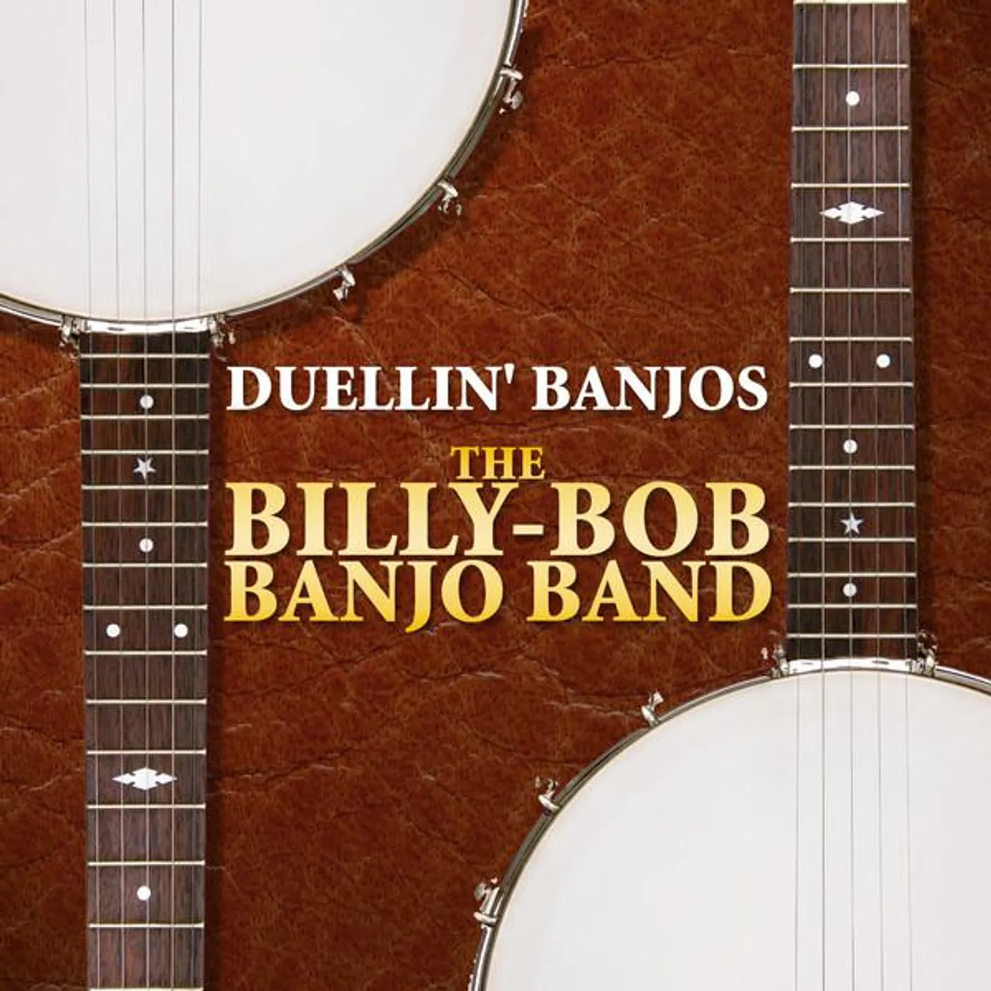 The Billy-Bob Banjo Band Brand Page
