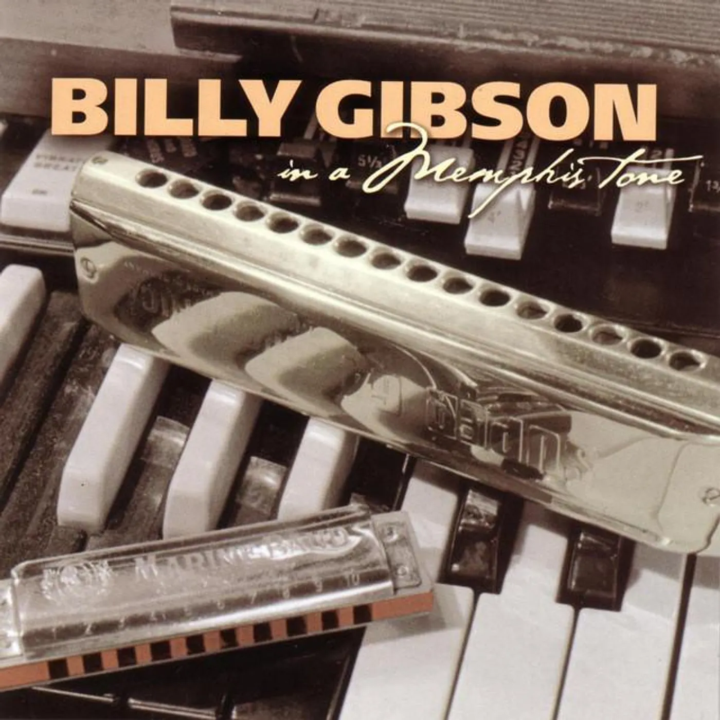 The Billy Gibson Band