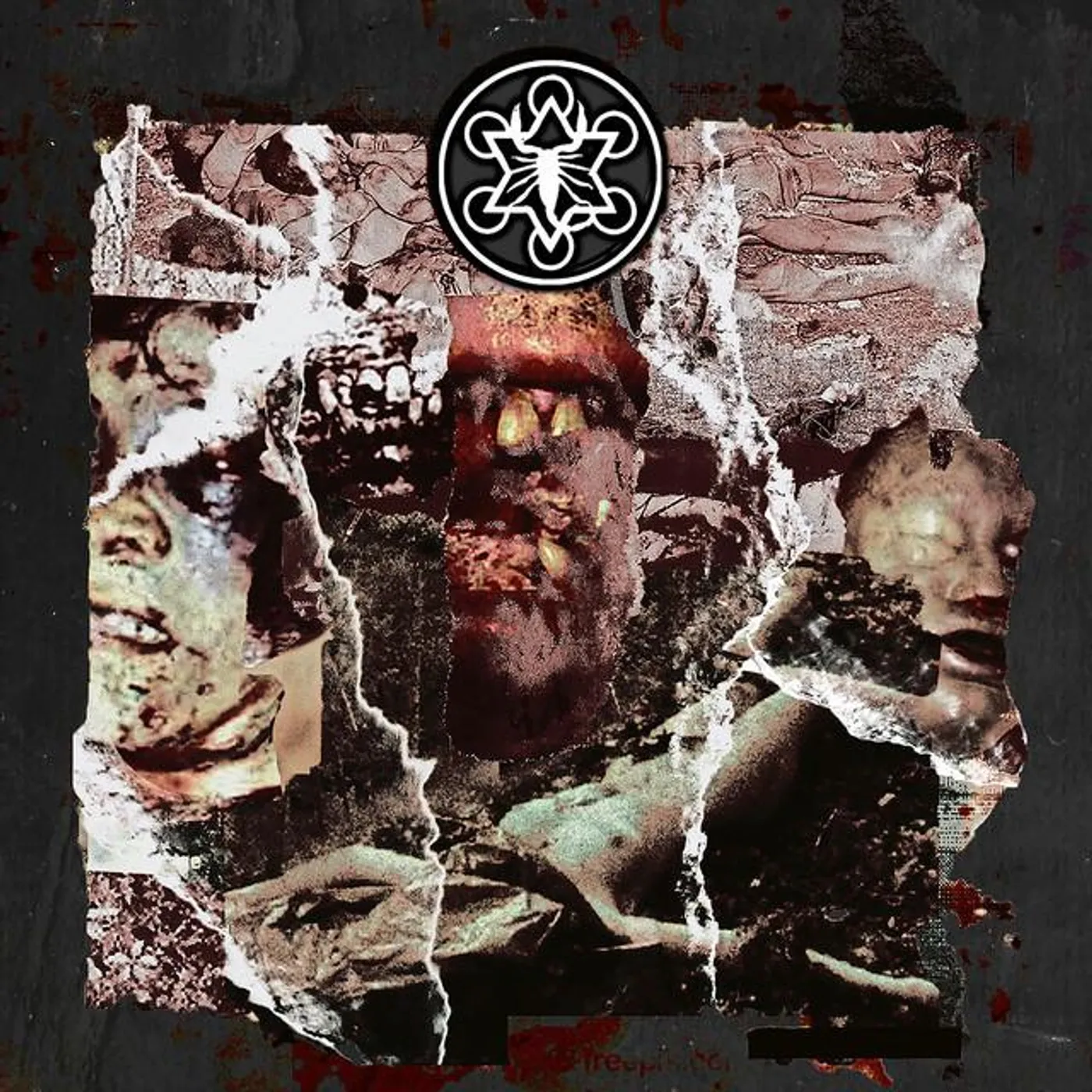 The Black Scorpio Underground