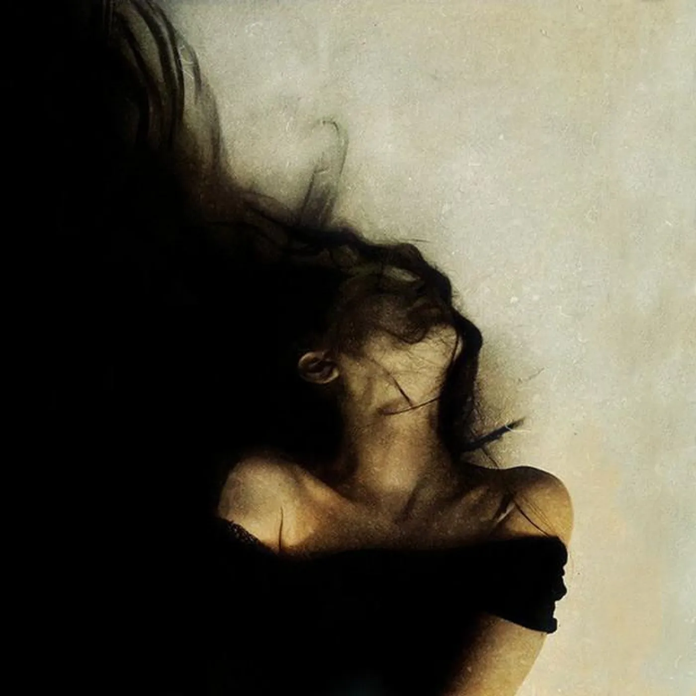 The Black Tree Brand Page