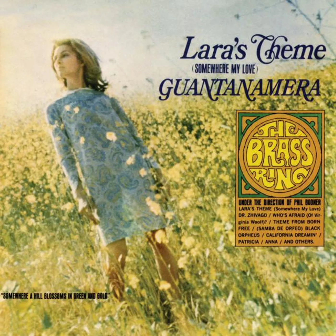 The Brass Ring Brand Page