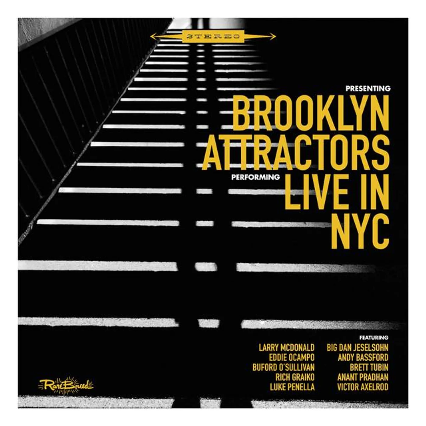 The Brooklyn Attractors Brand Page