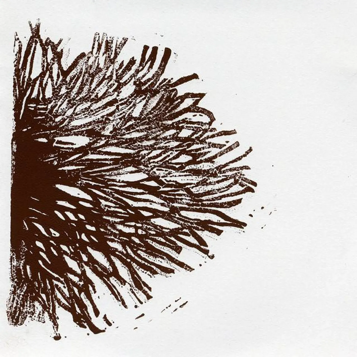 The Broken Blackbird Ensemble