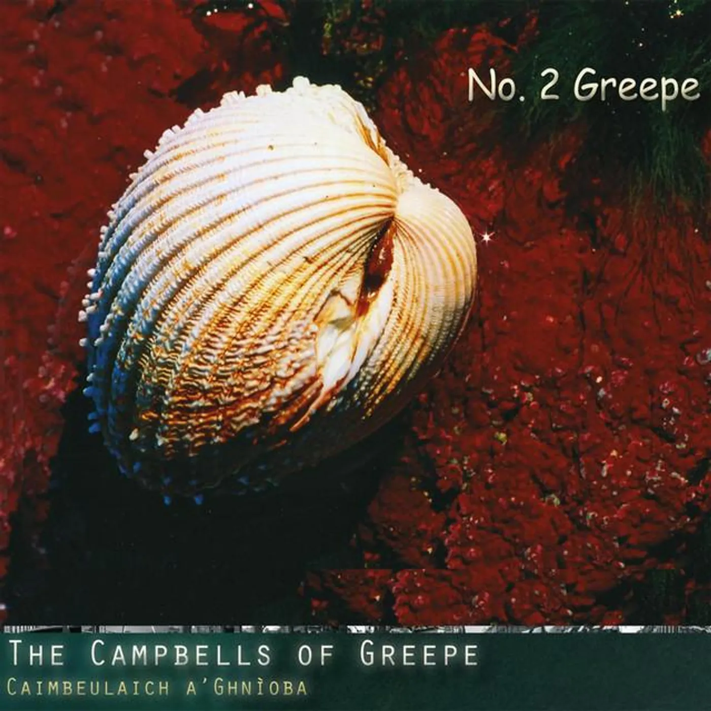 The Campbells Of Greepe