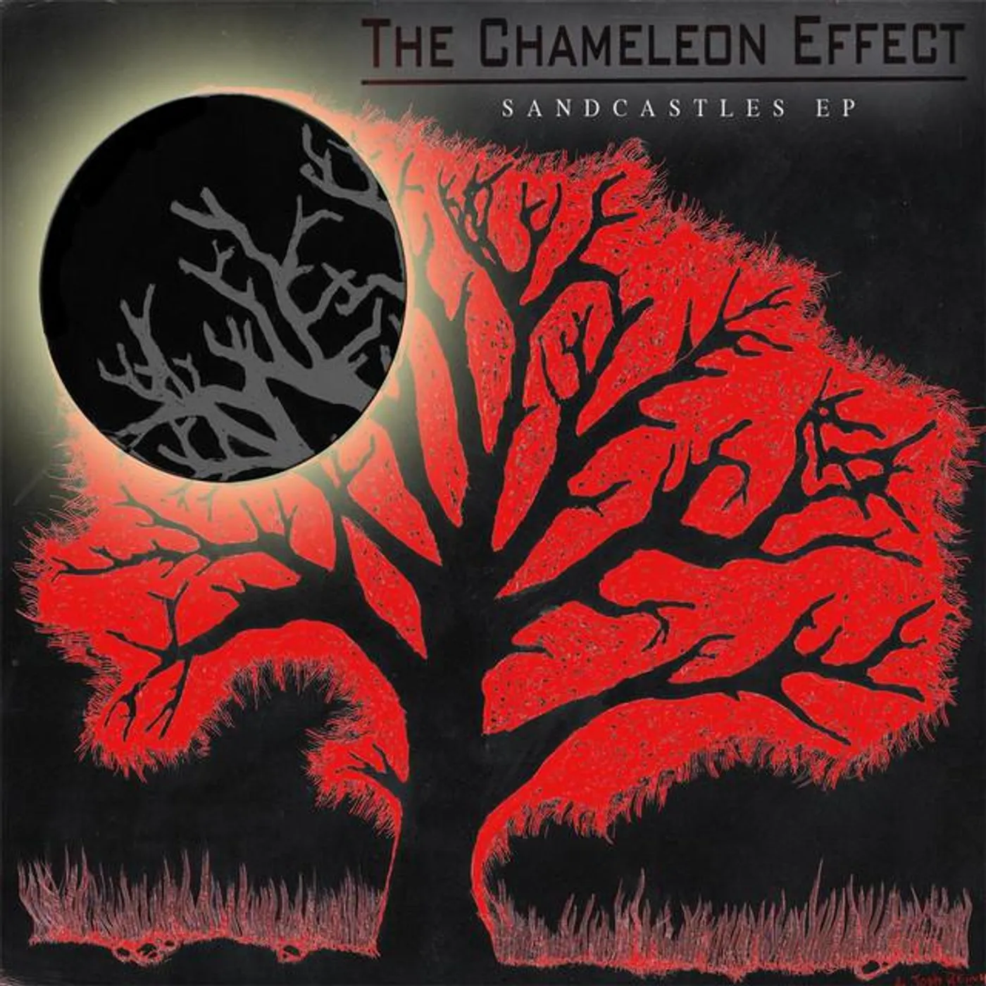 The Chameleon Effect