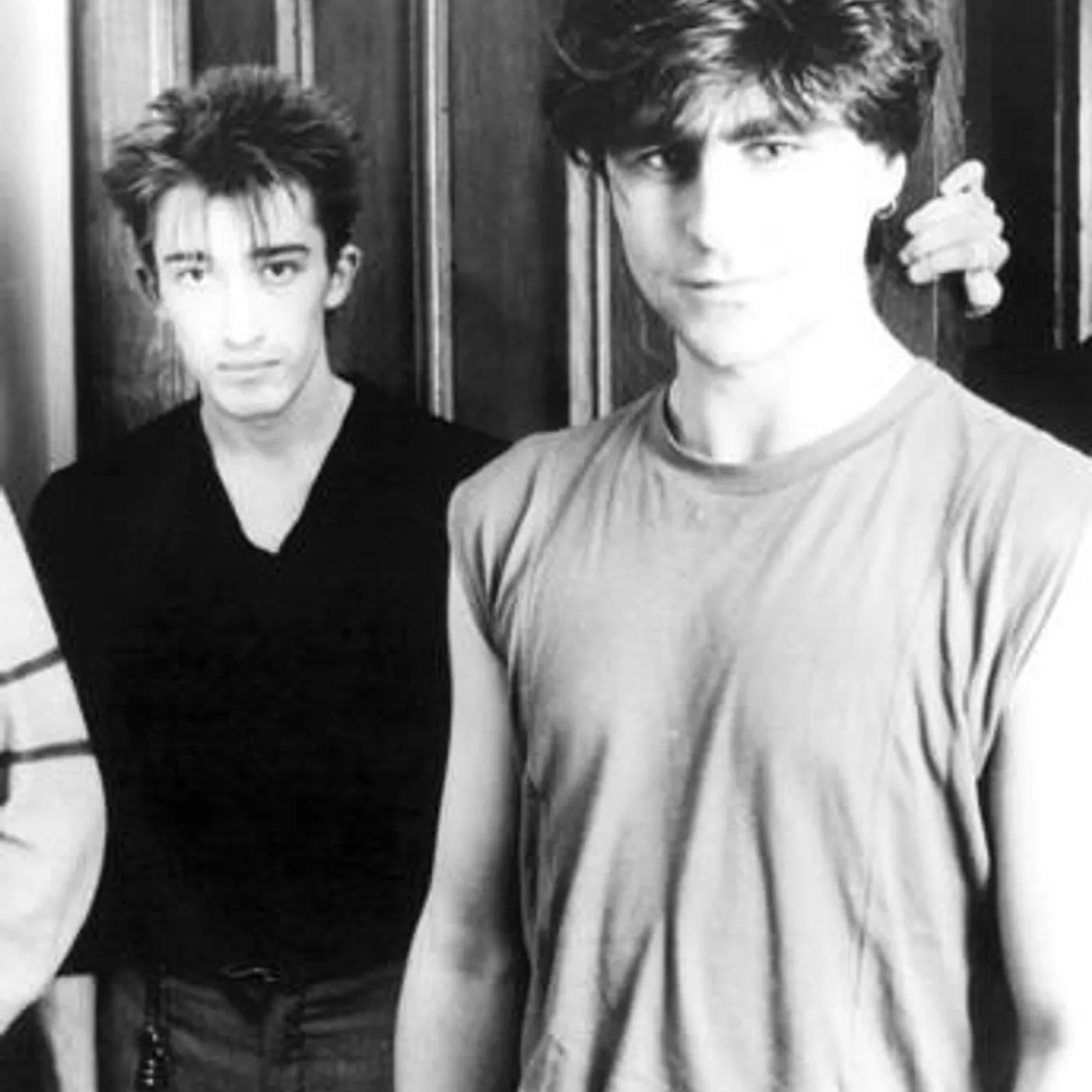 The Chameleons Brand Page