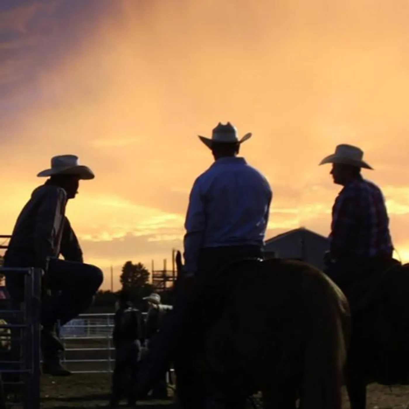 The Cheatin' Wives Brand Page