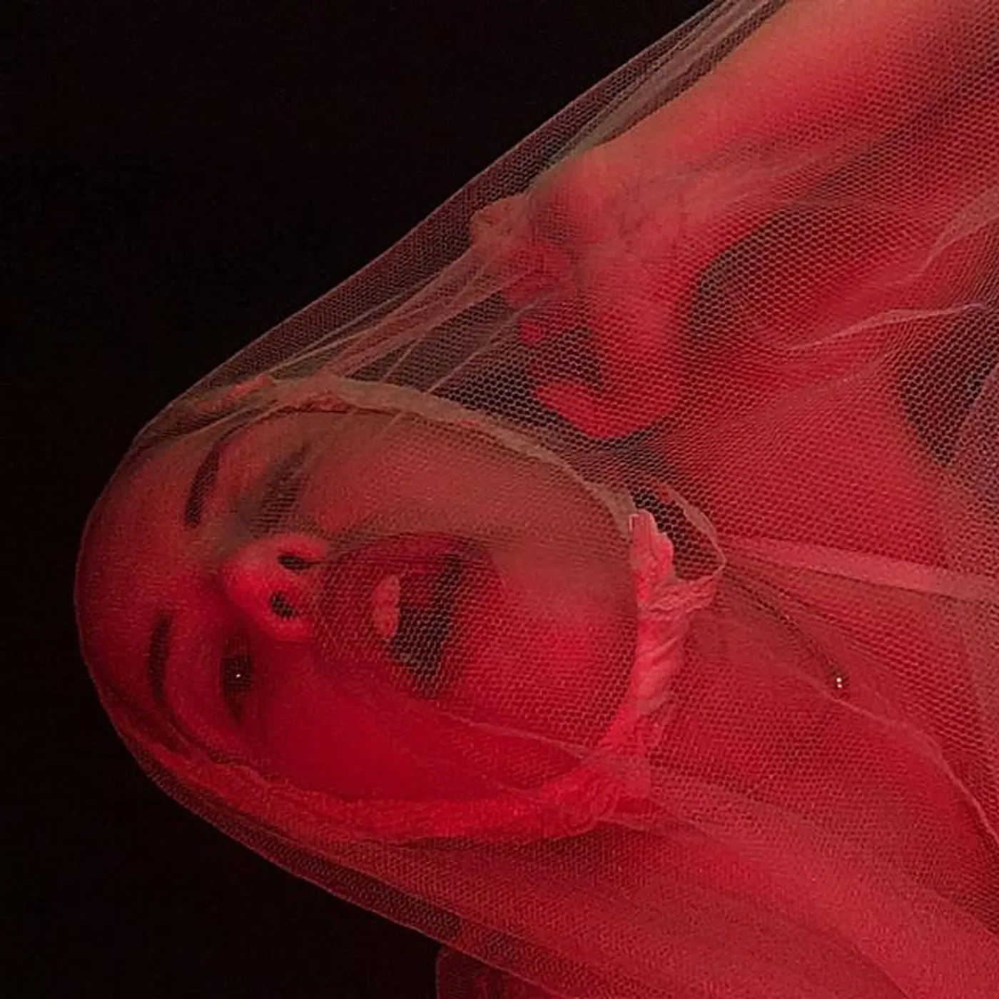 The Chica Brand Page