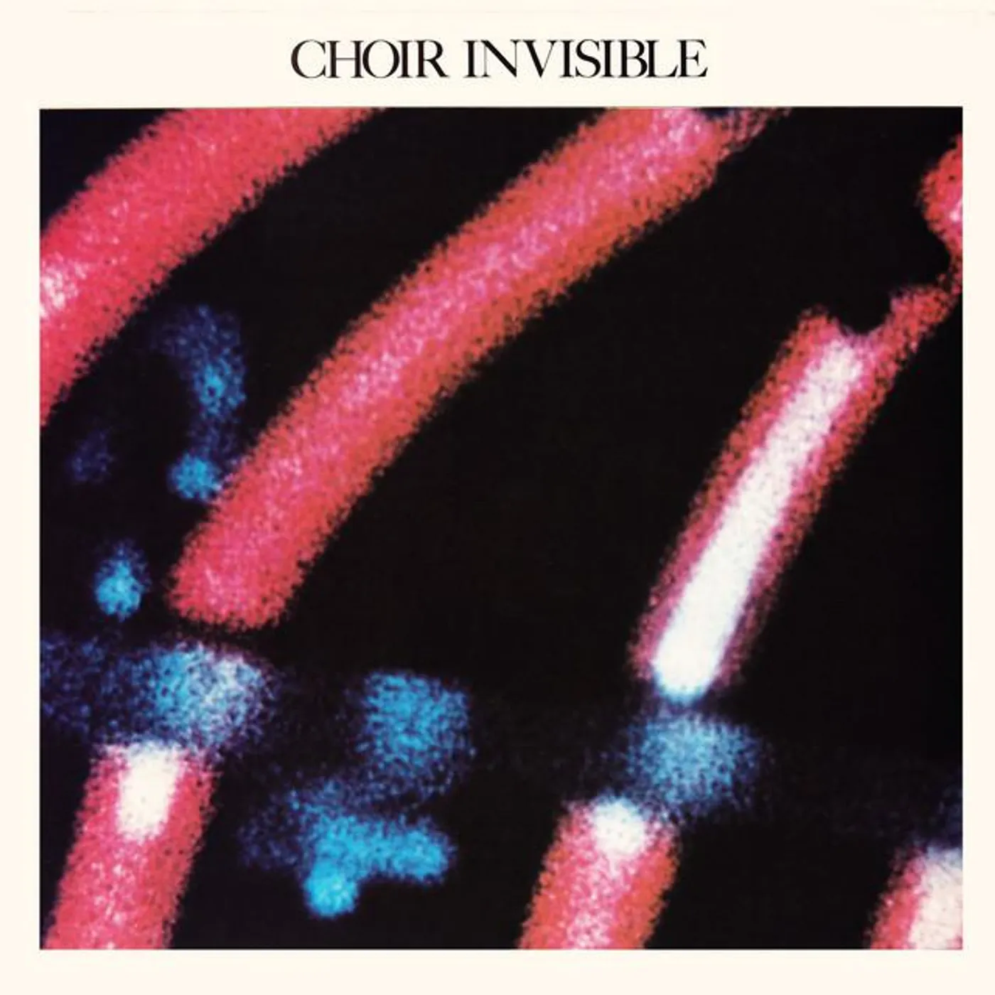 The Choir Invisible