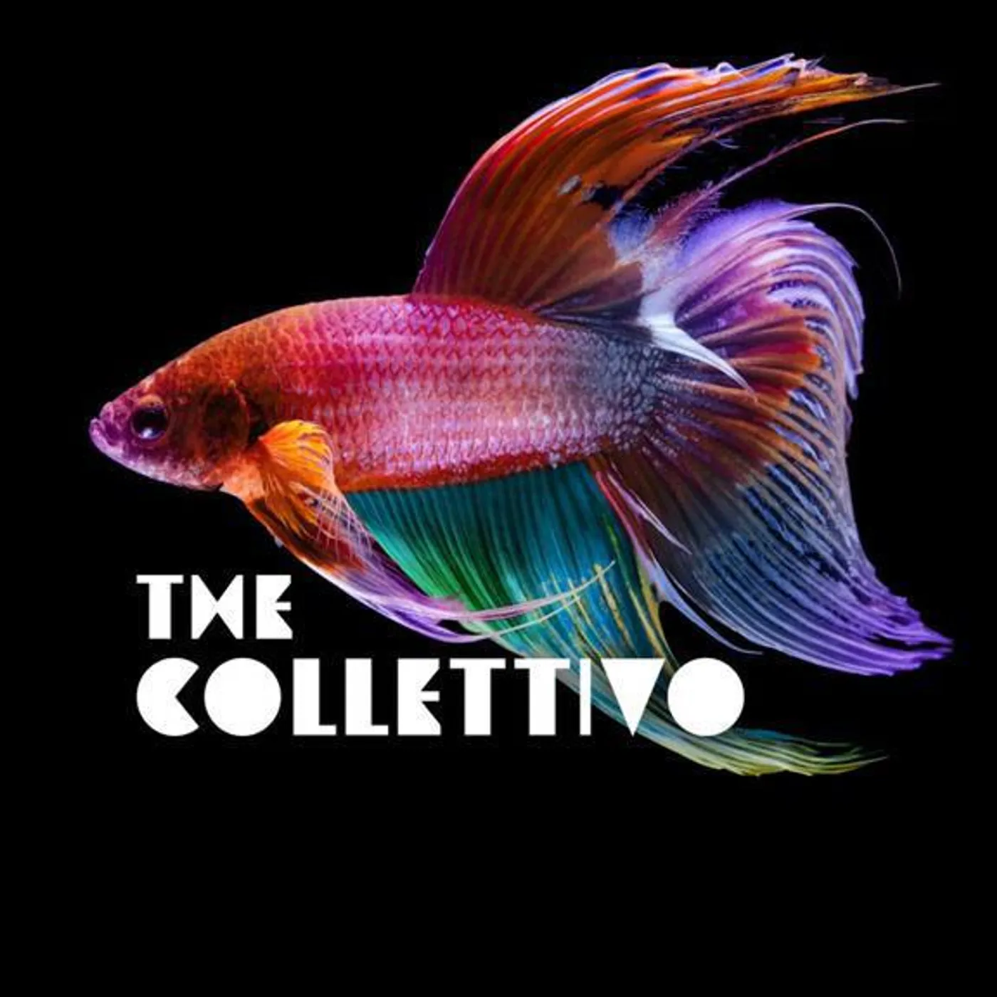 The Collettivo