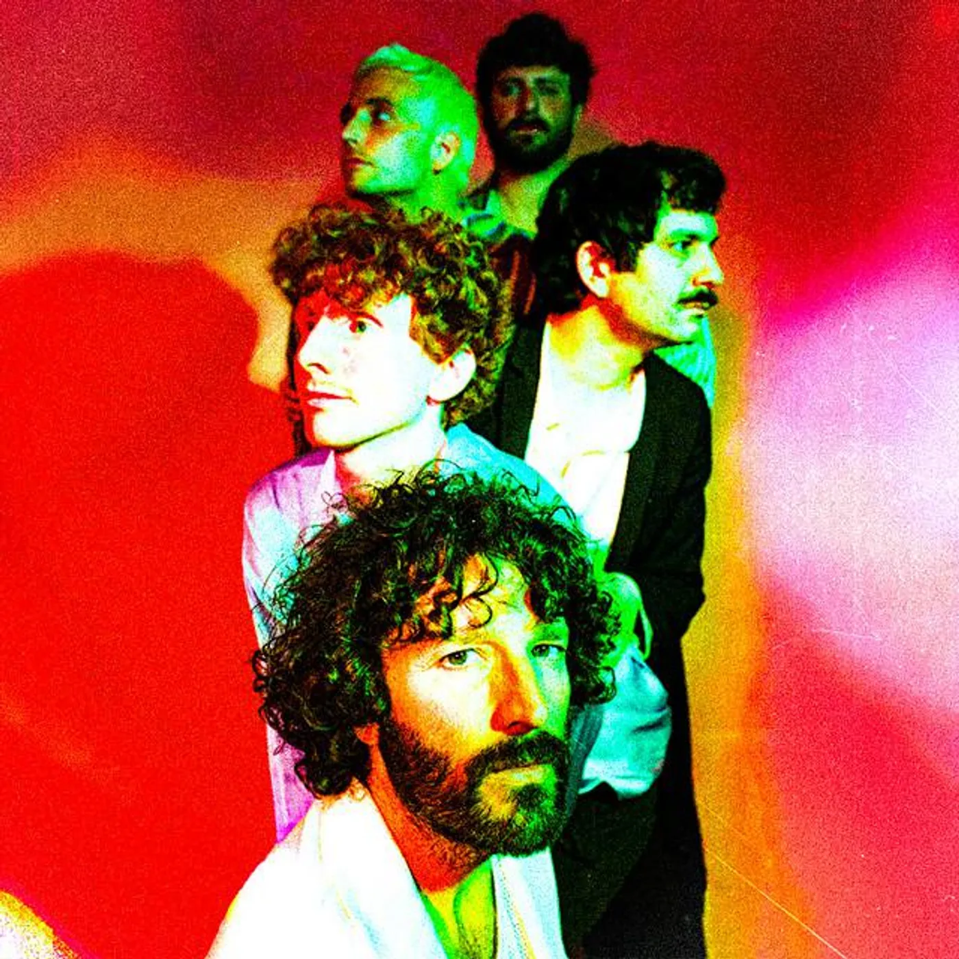 The Confederate Dead