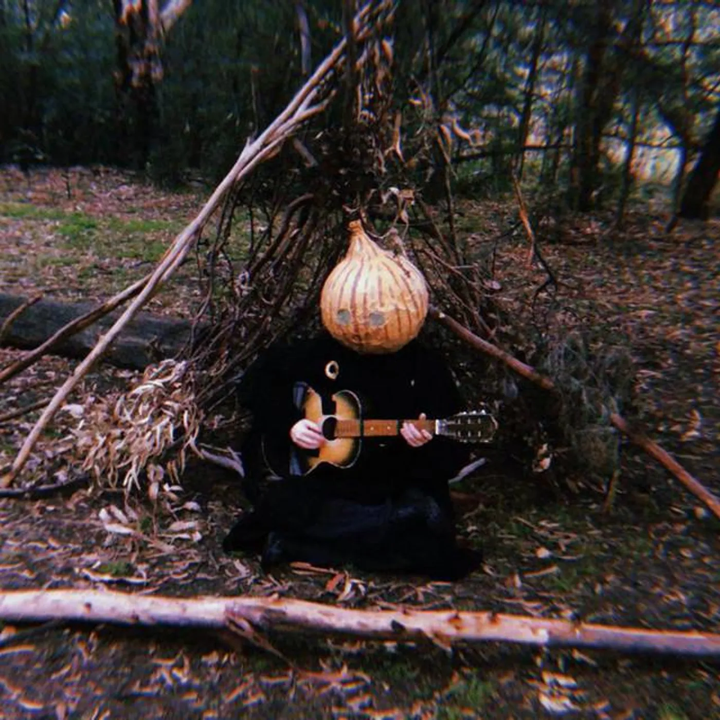 The Crooked, Yet Fabulous Onion