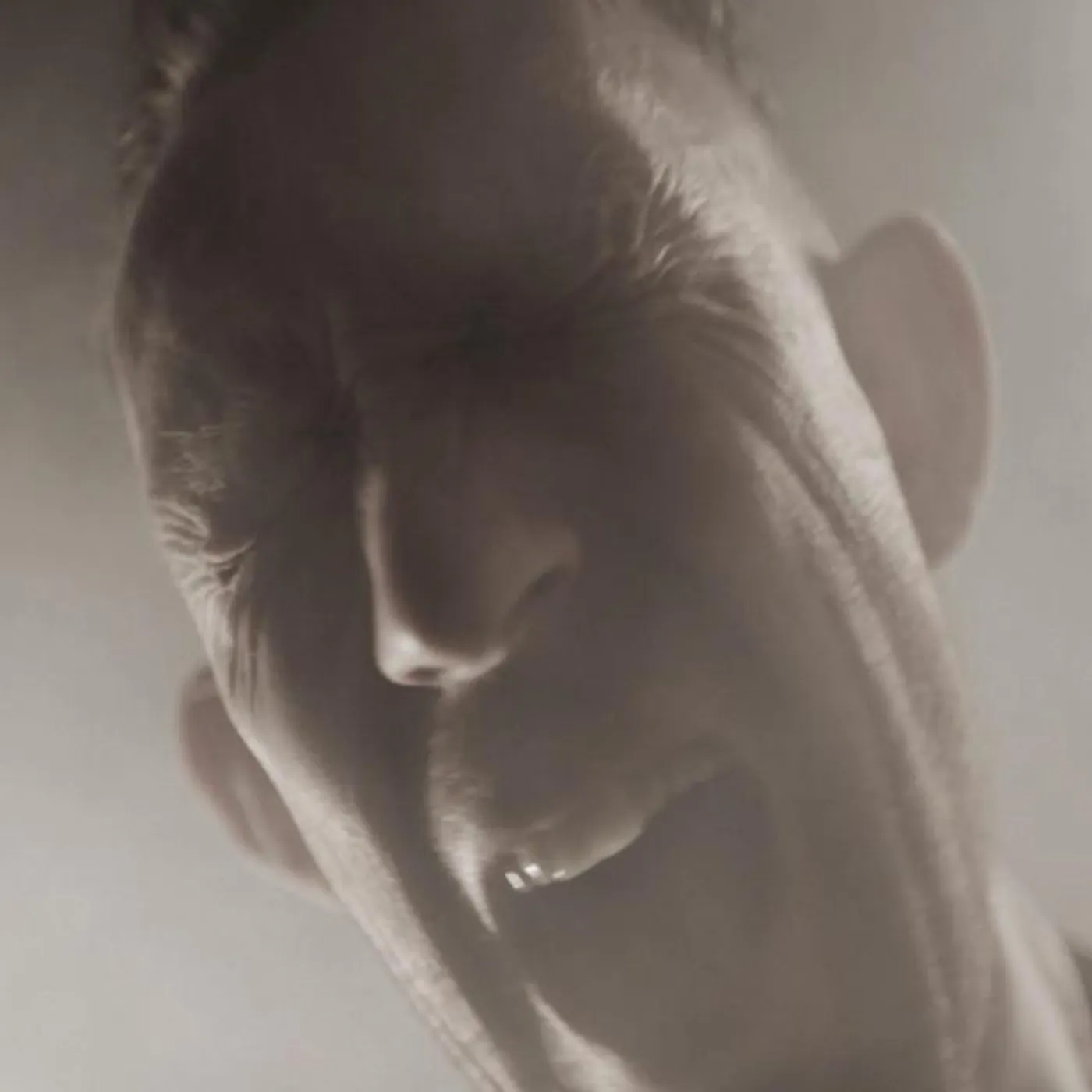 The Dad Horse Experience