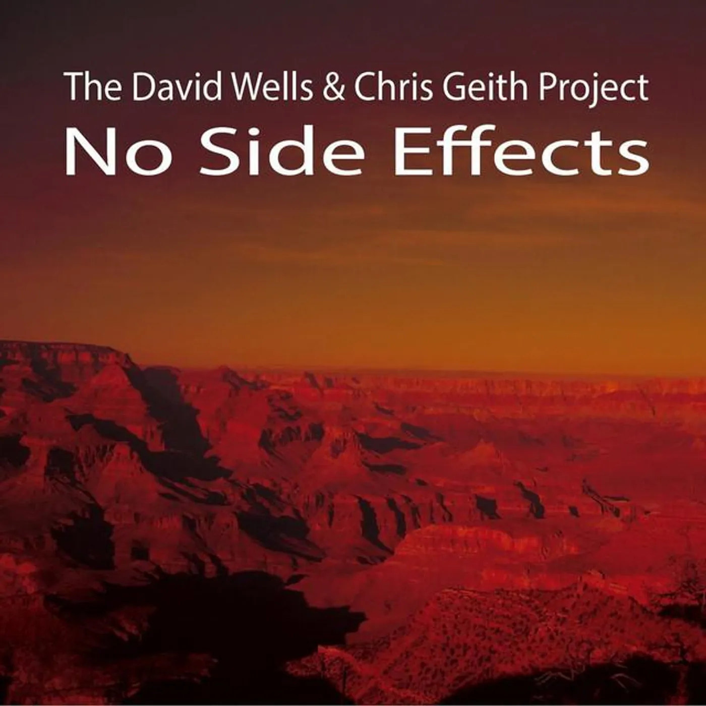 The David Wells & Chris Geith Project Brand Page