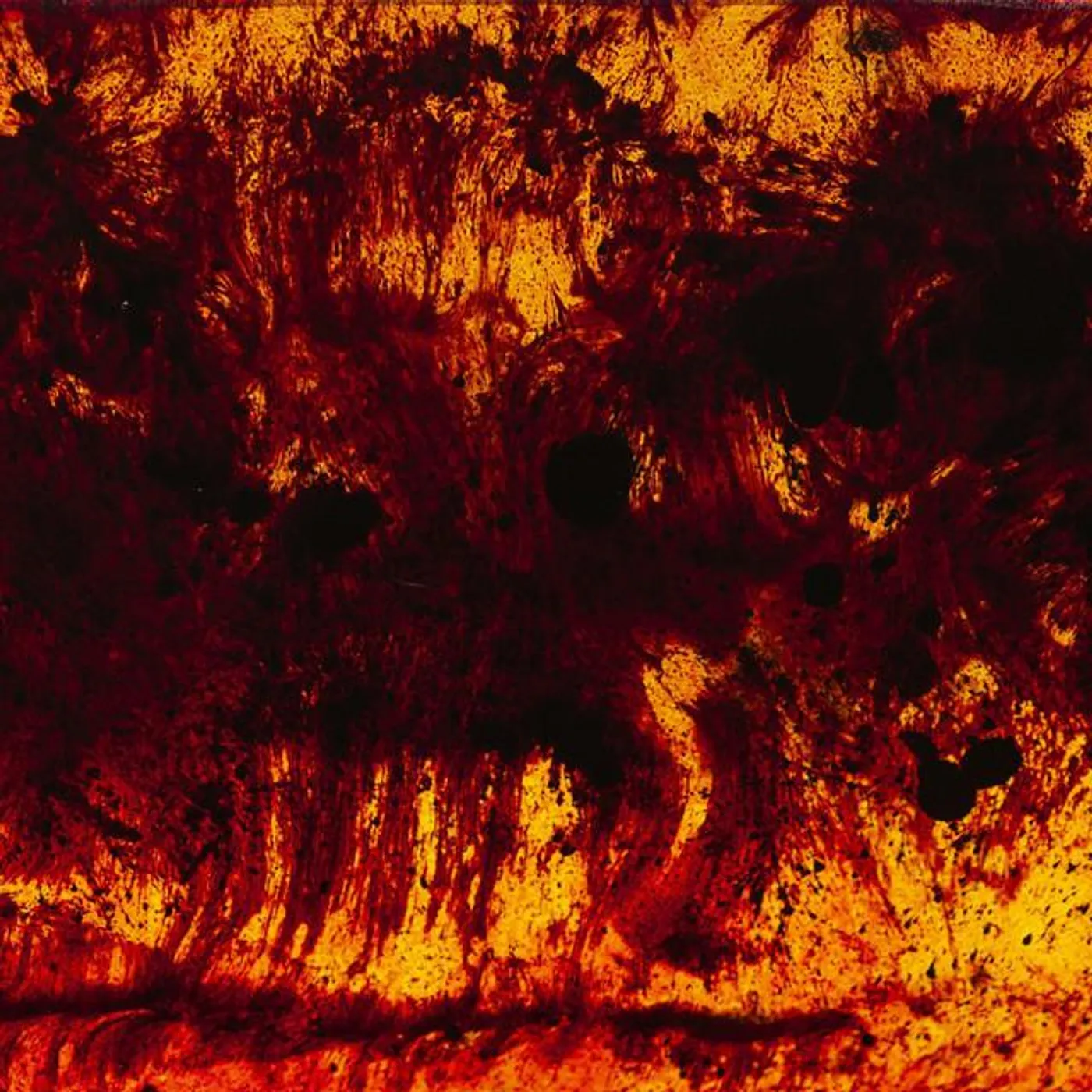 The Dog Of Tears Brand Page