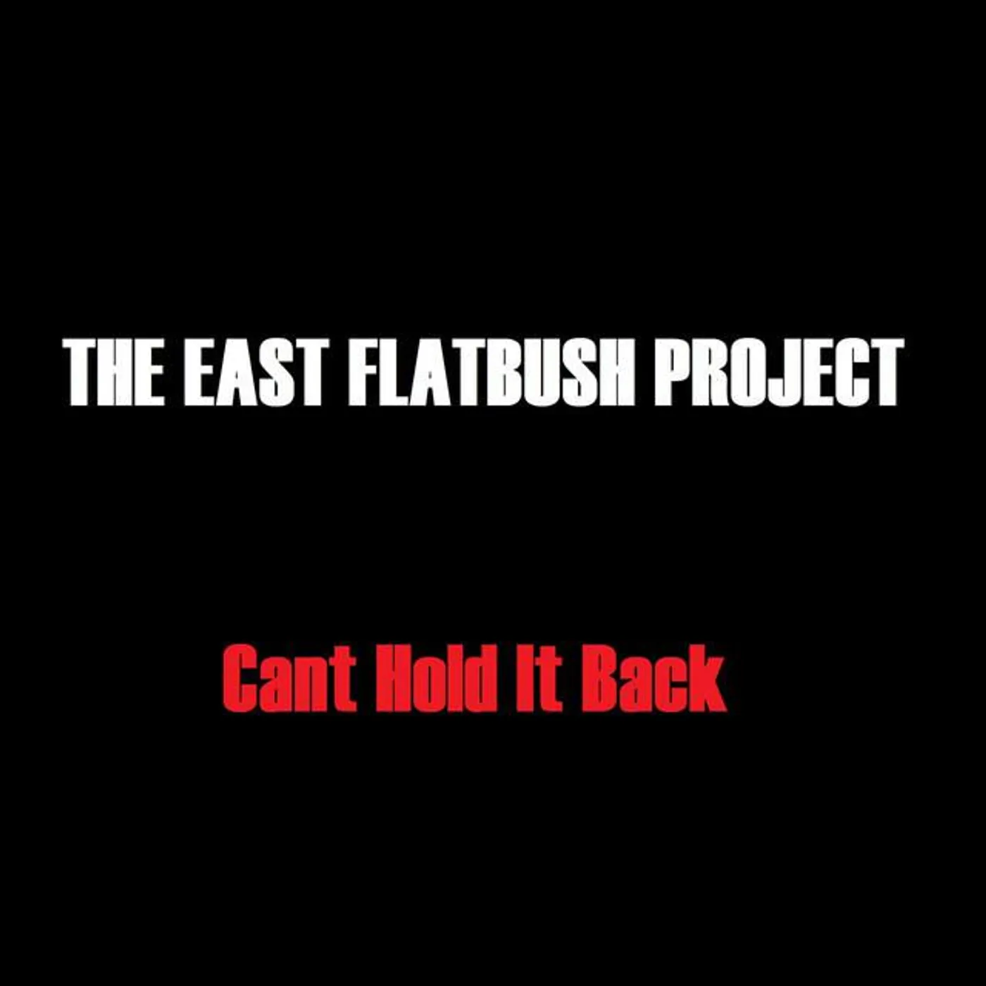 The East Flatbush Project