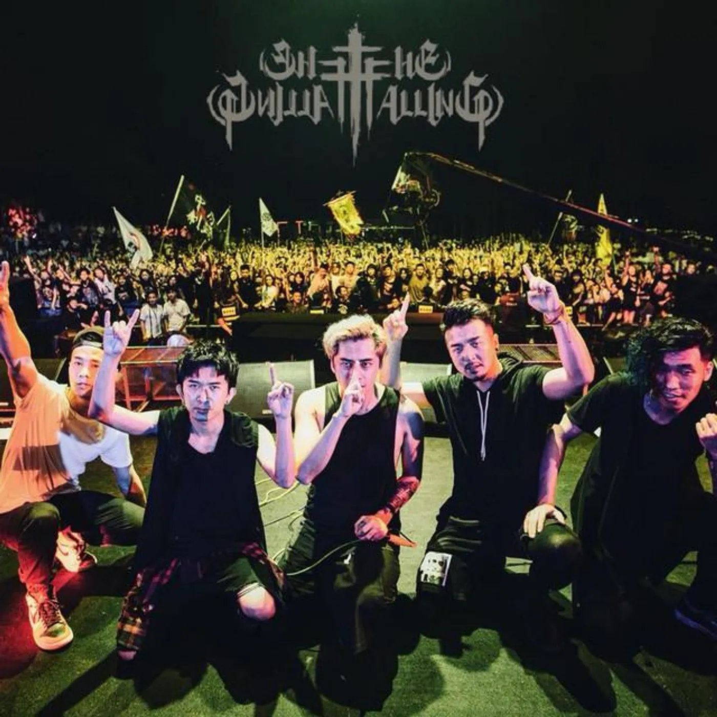 The Falling Brand Page