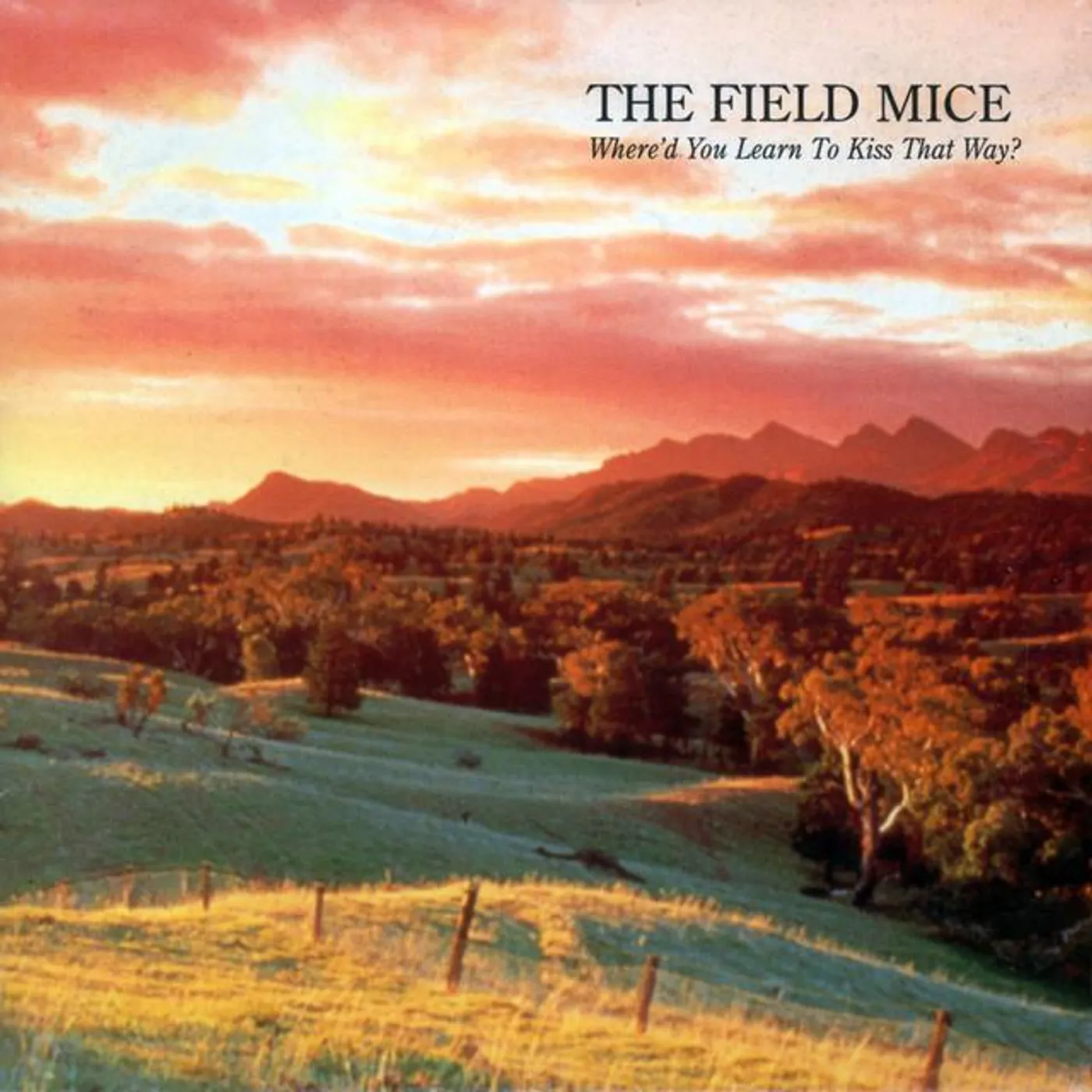 The Field Mice