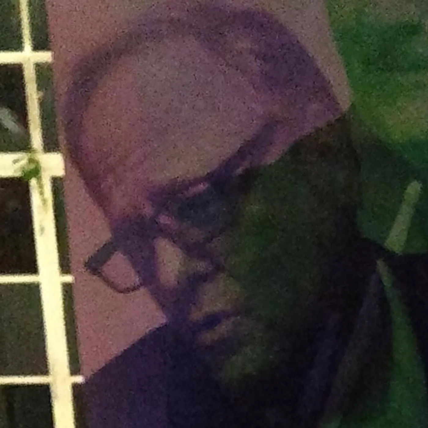 The Gilbertos Brand Page