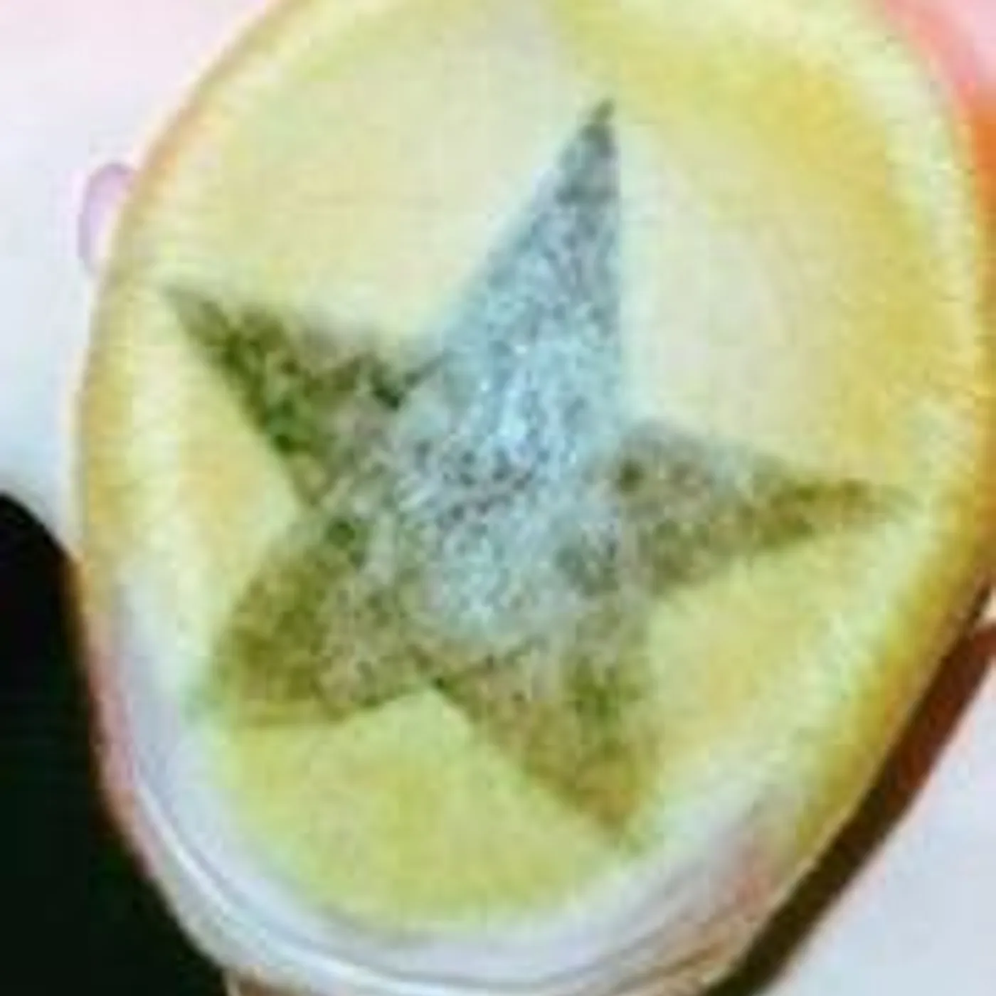 The Grunks Brand Page