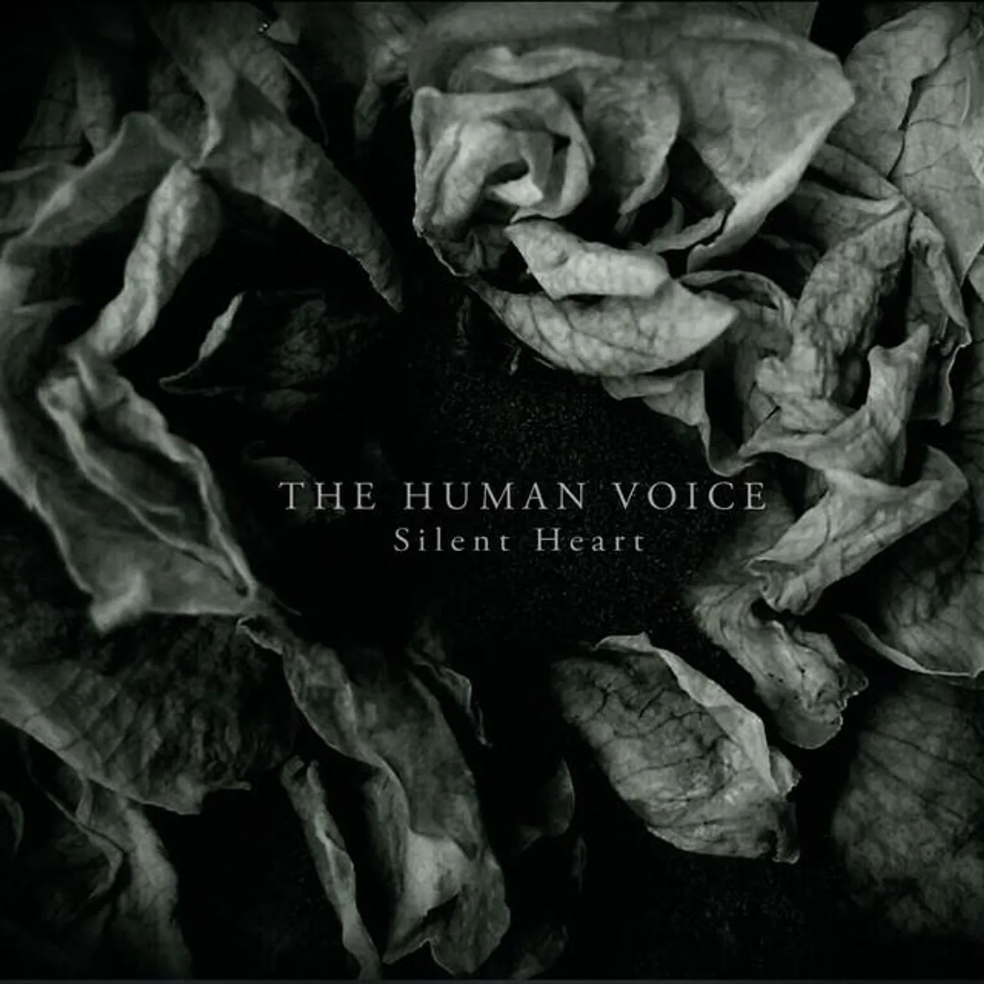 The Human Voice