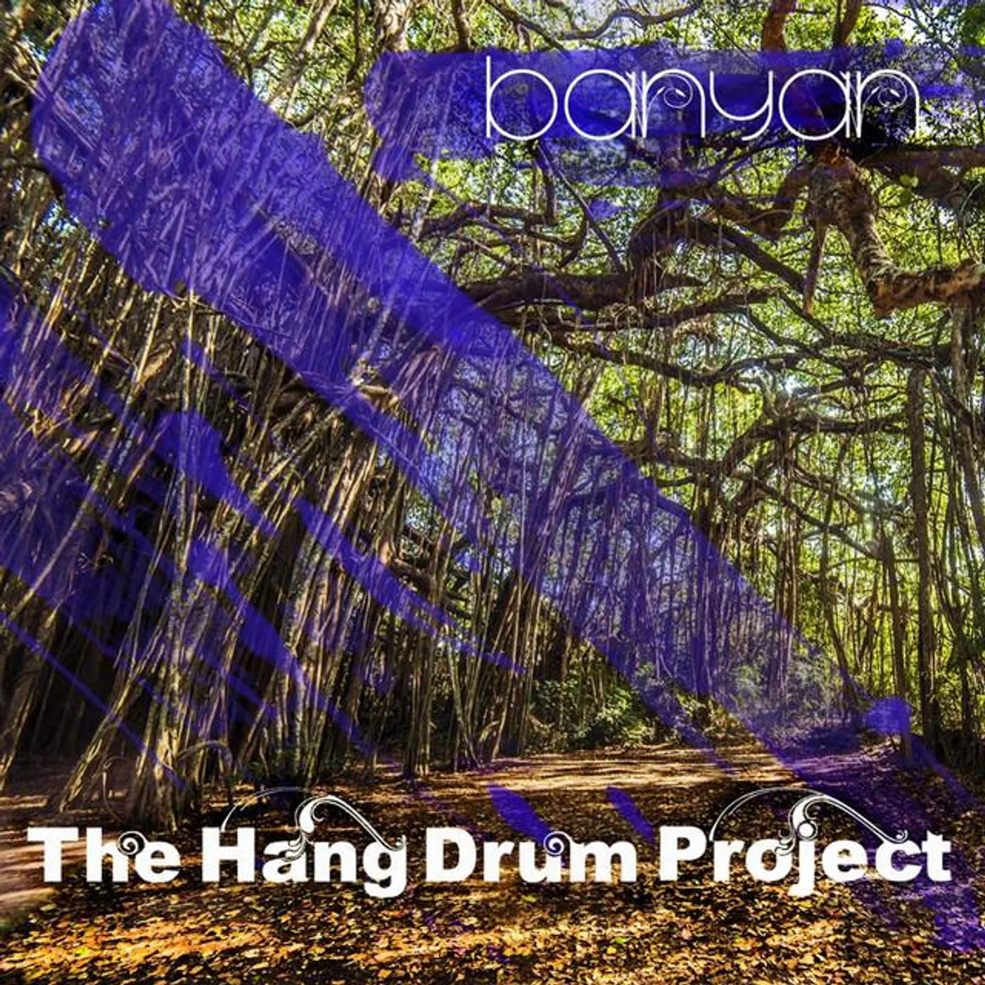 The Hang Drum Project