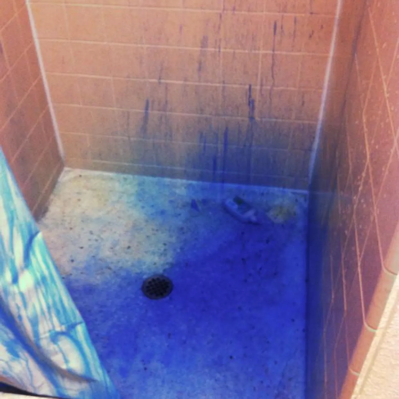 The Happy Children Brand Page