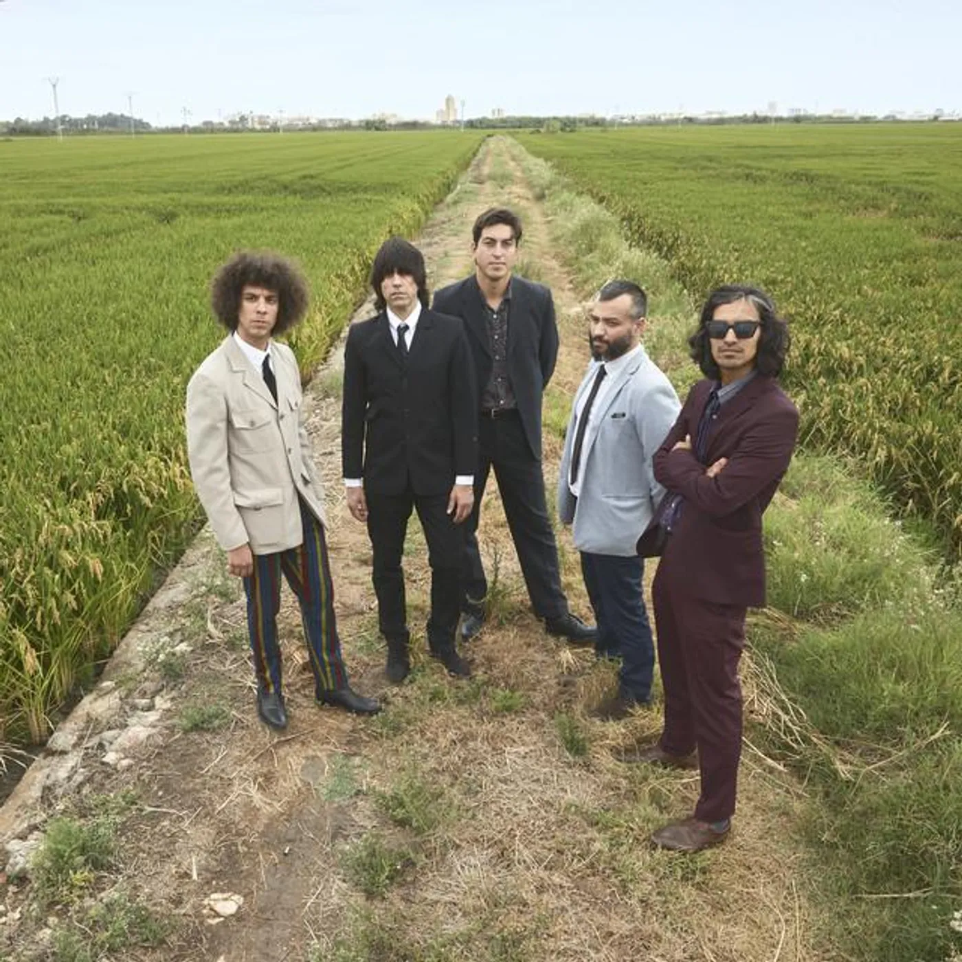 The Liquorice Experiment Brand Page