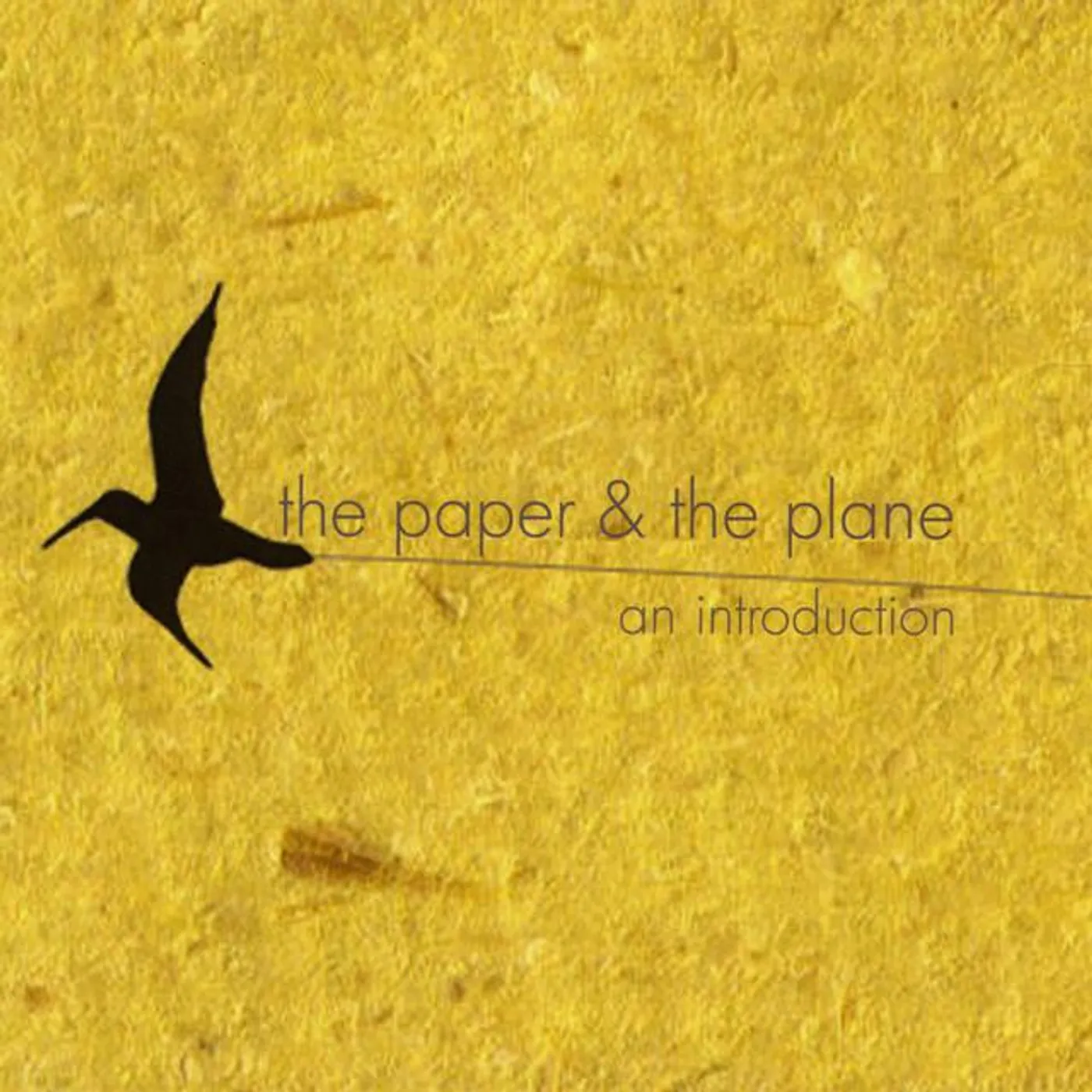 The Paper & The Plane Brand Page
