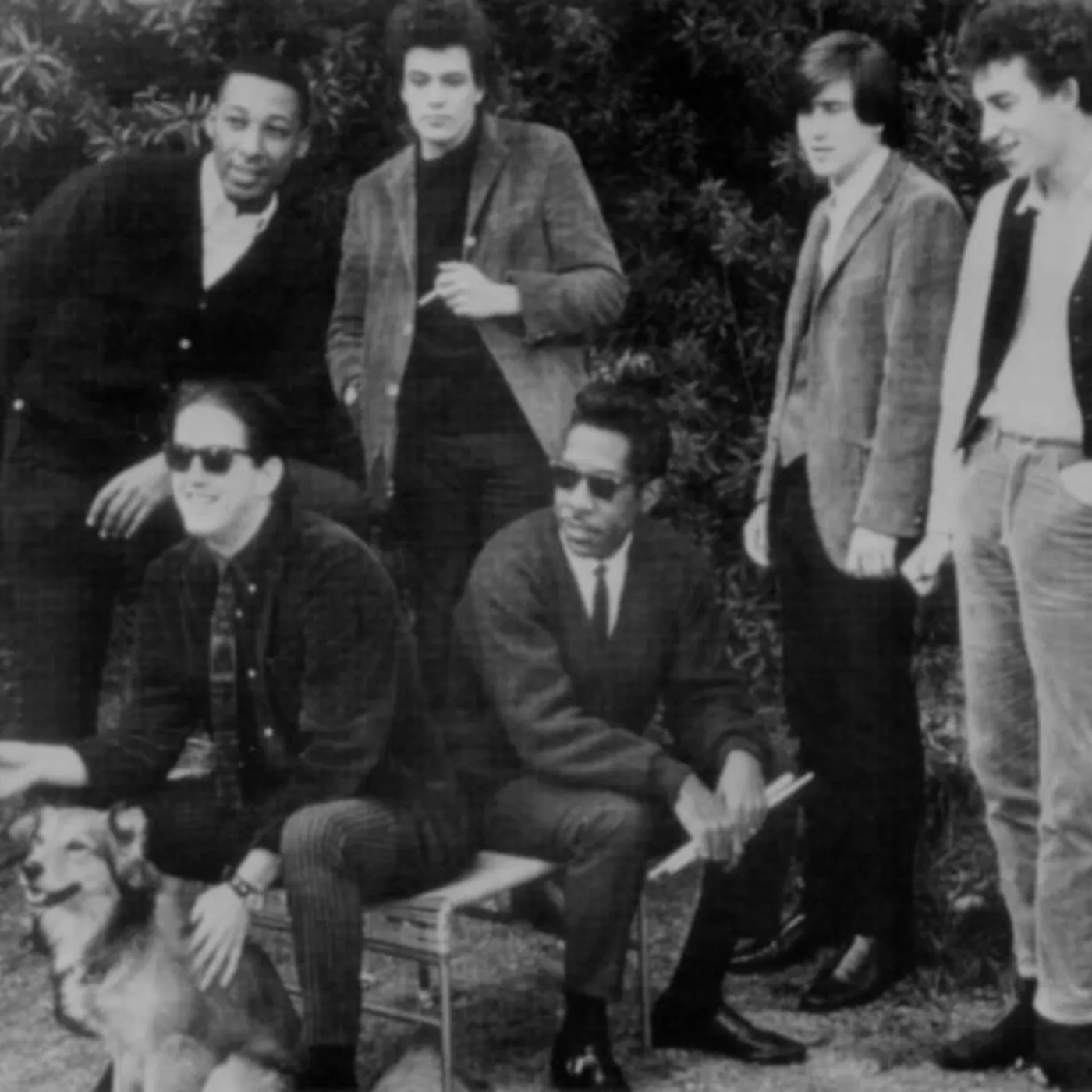 The Paul Butterfield Blues Band Brand Page