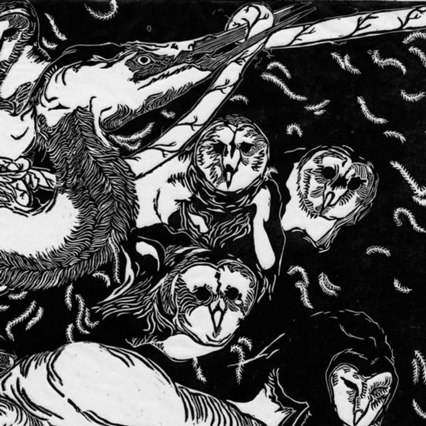 the Pax Cecilia Brand Page