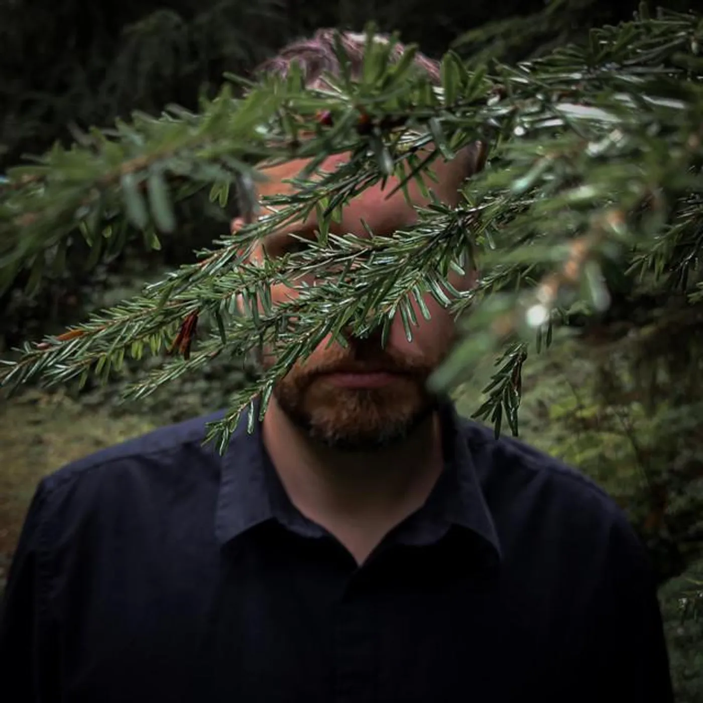 The Phantom Pines Brand Page