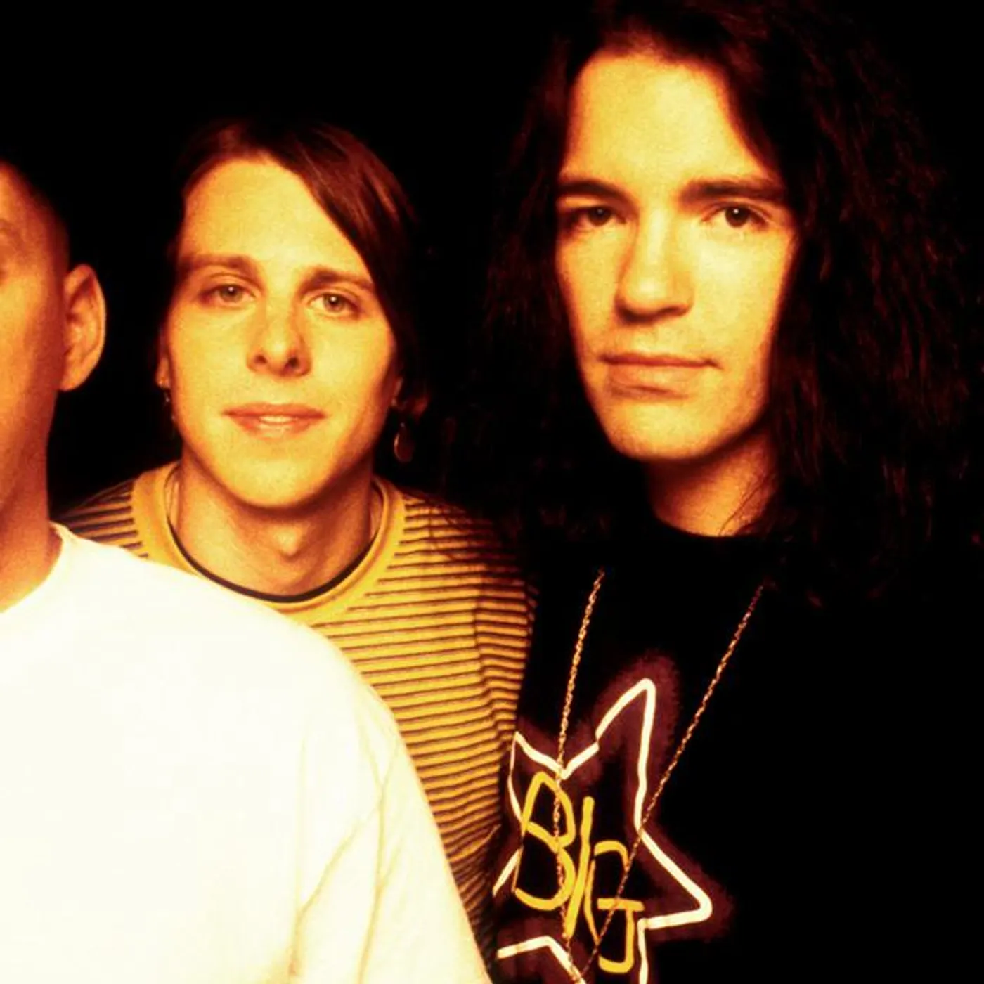 The Posies Brand Page