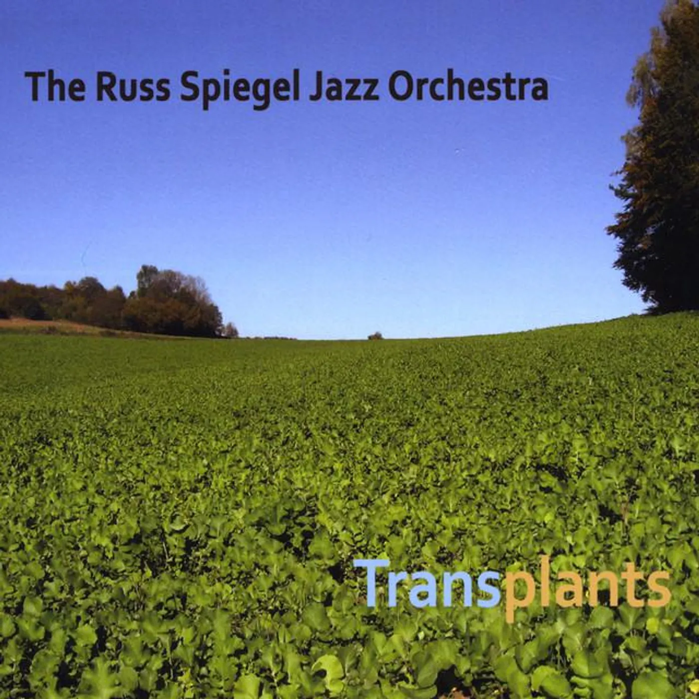 The Russ Spiegel Jazz Orchestra