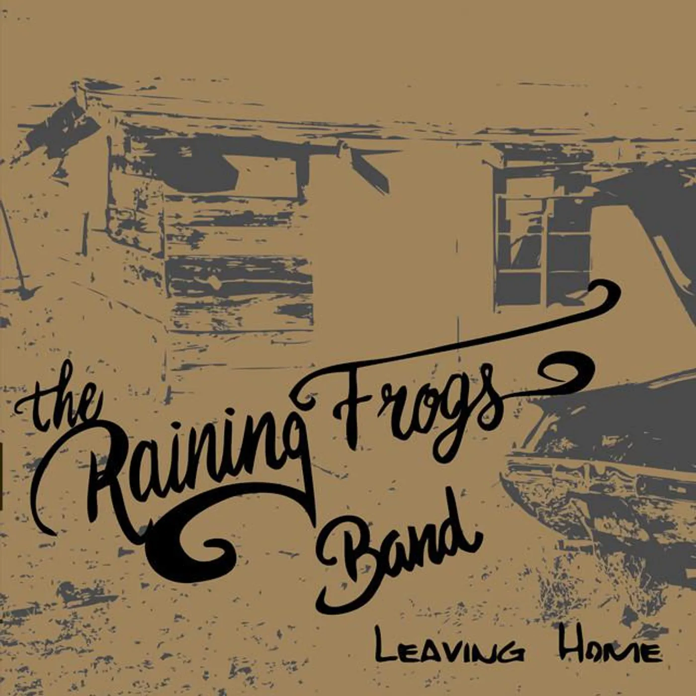 The raining frogs band