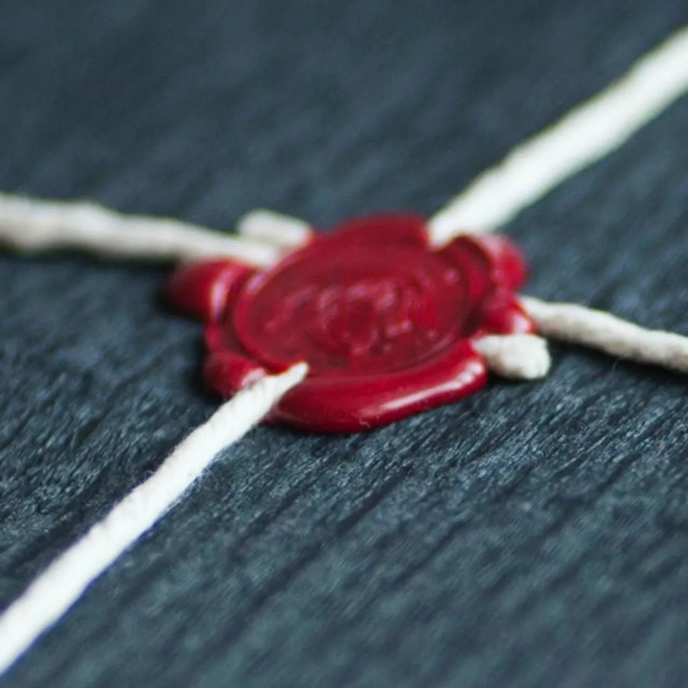 The Reflectionist Brand Page