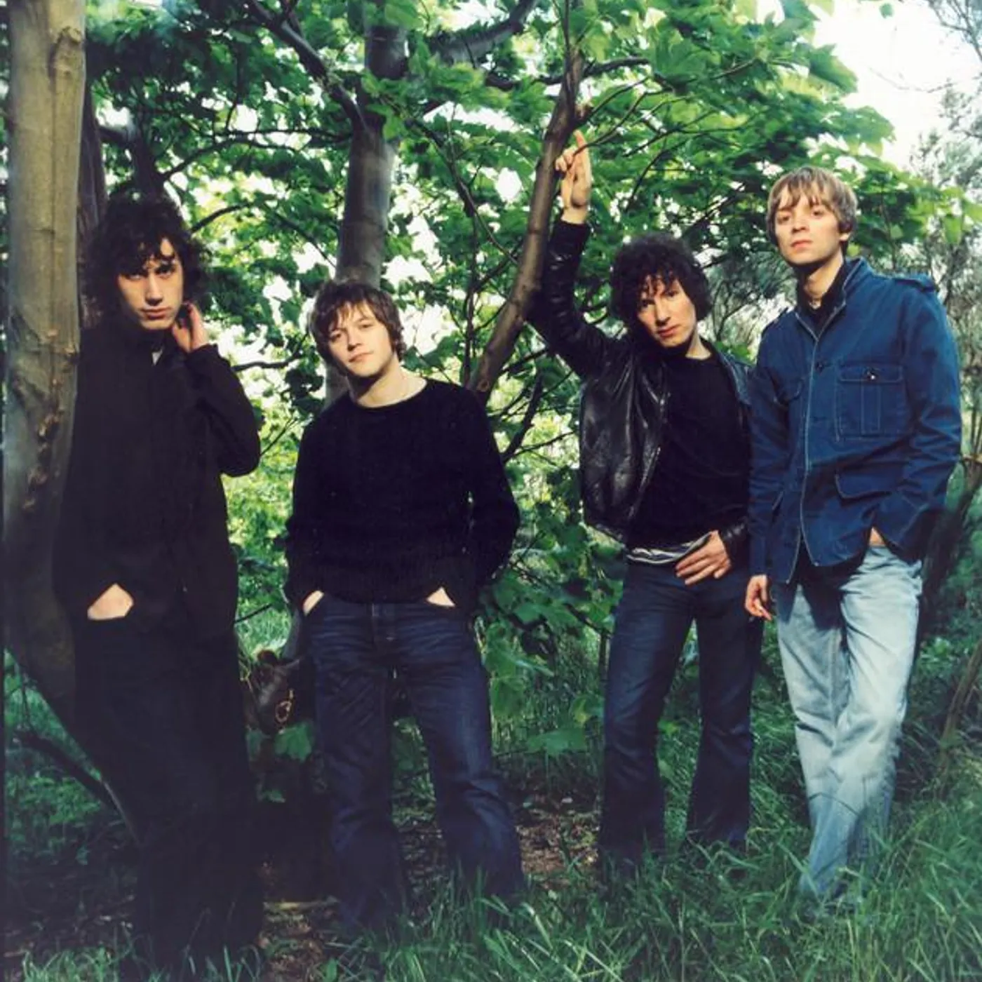 The Stands Brand Page