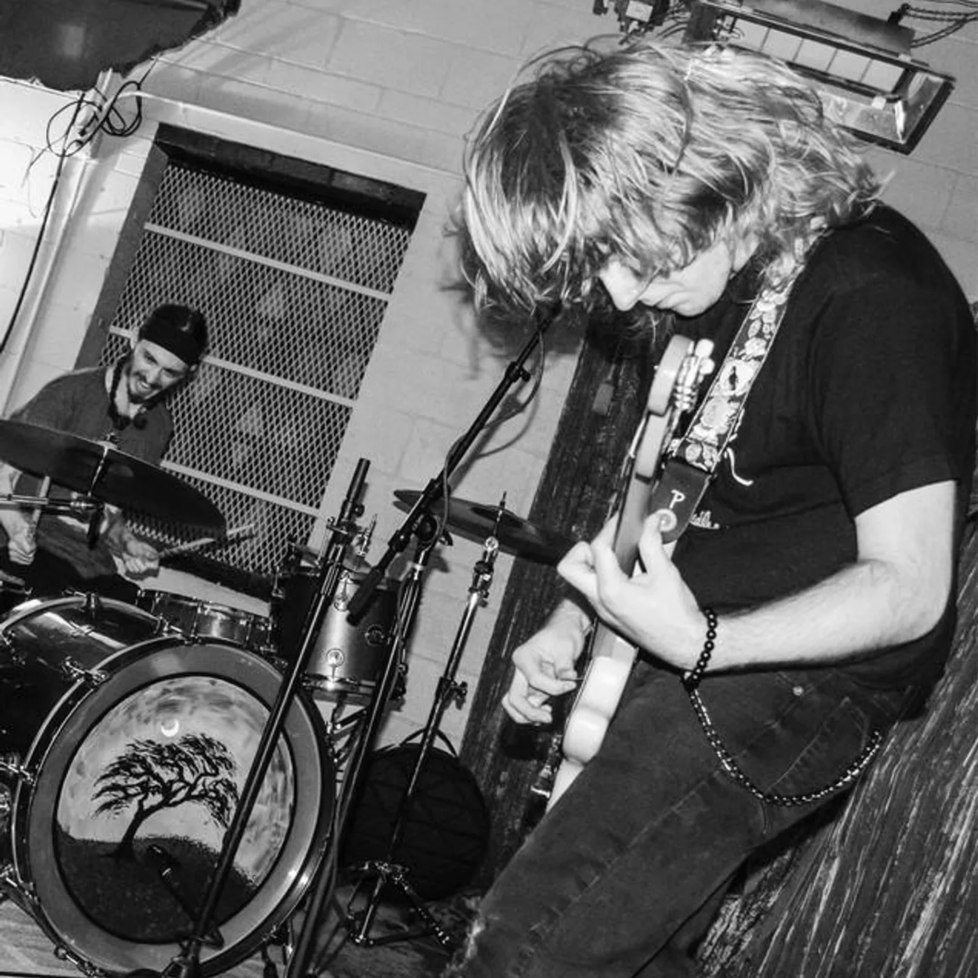 The Styrofoam Turtles