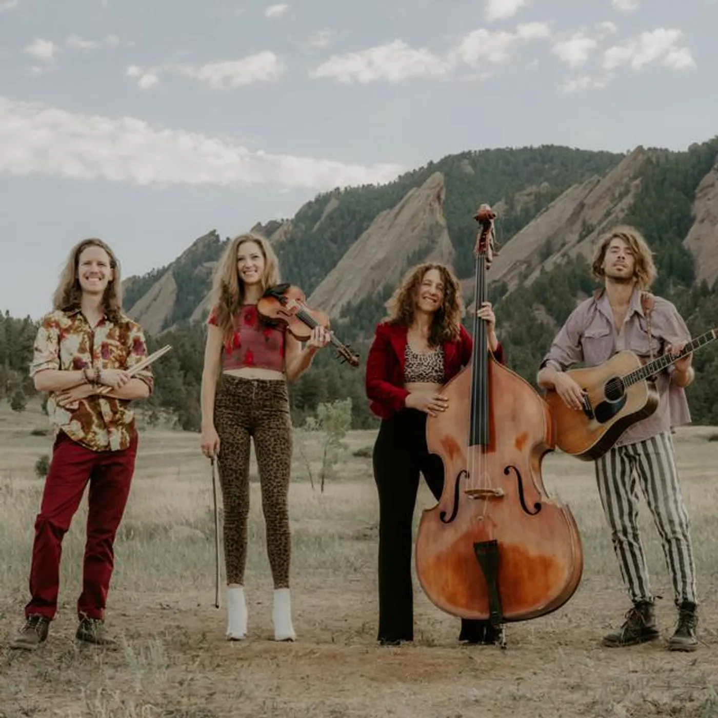 The Sweet Lillies Brand Page