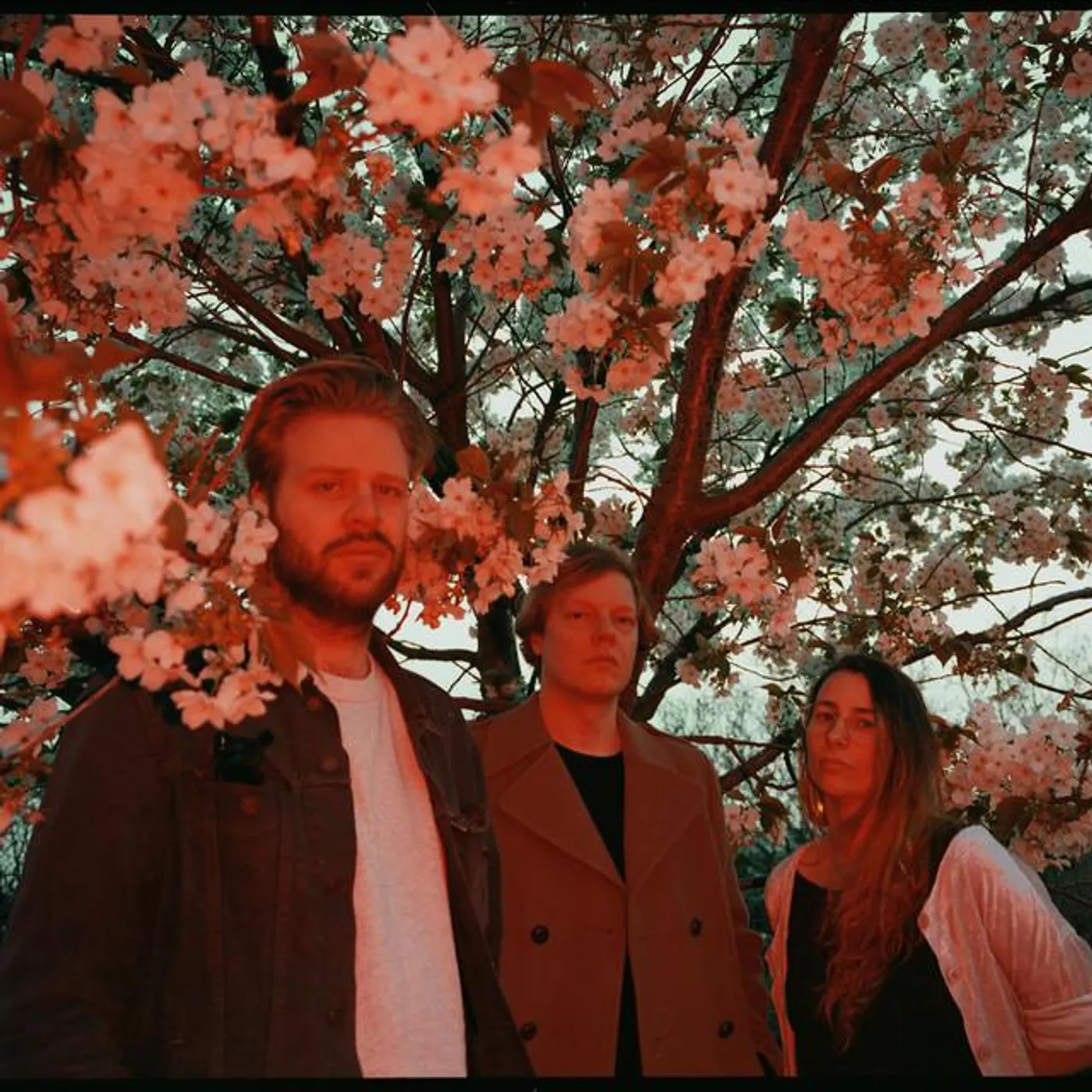 The Sweet Release of Death Brand Page