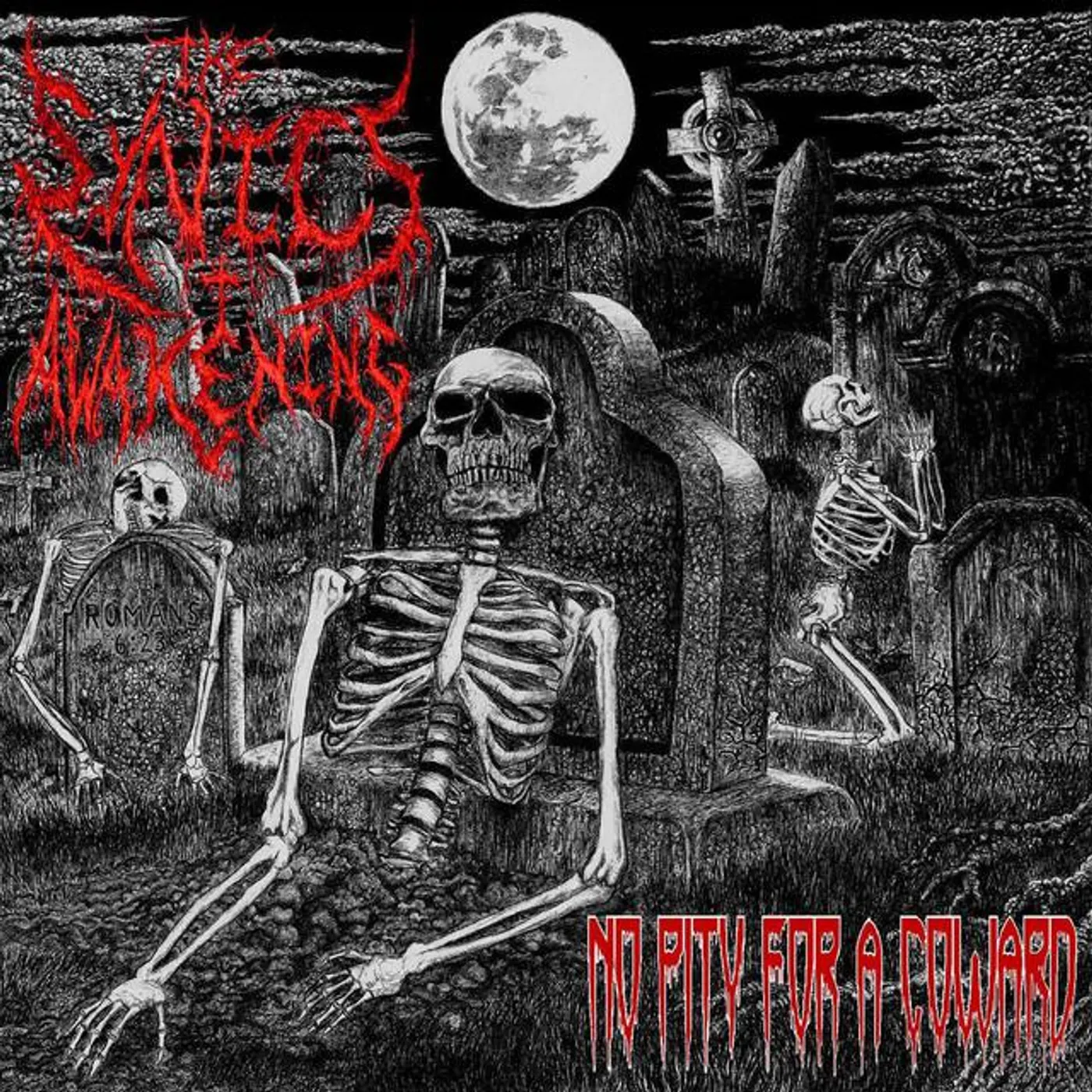 The Synics Awakening