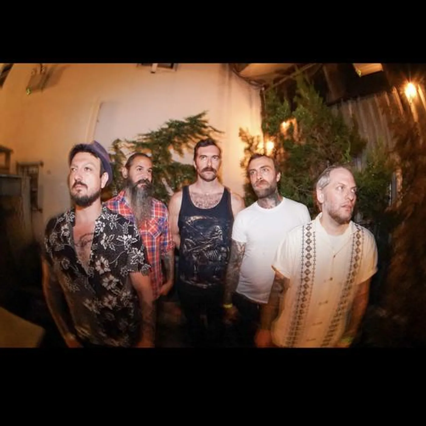 The Sawtooth Grin Brand Page