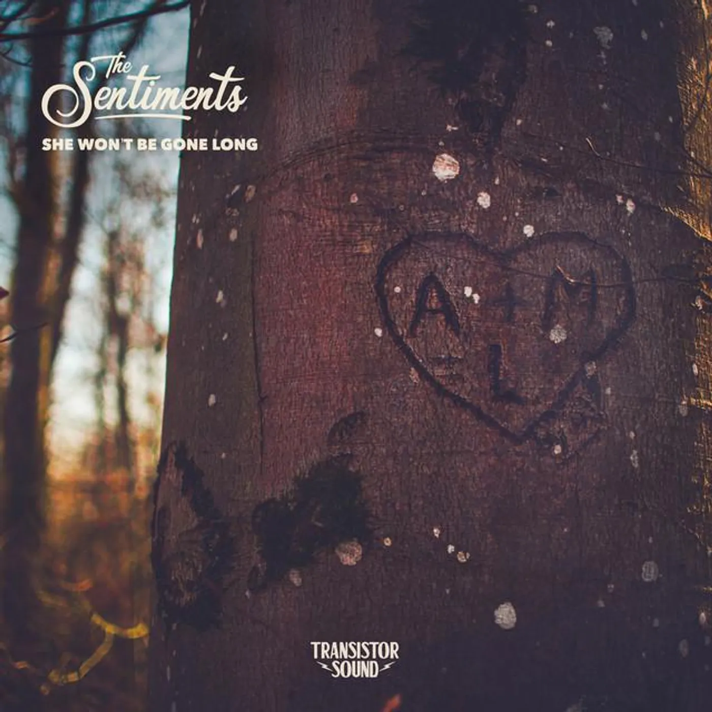 The Sentiments Brand Page