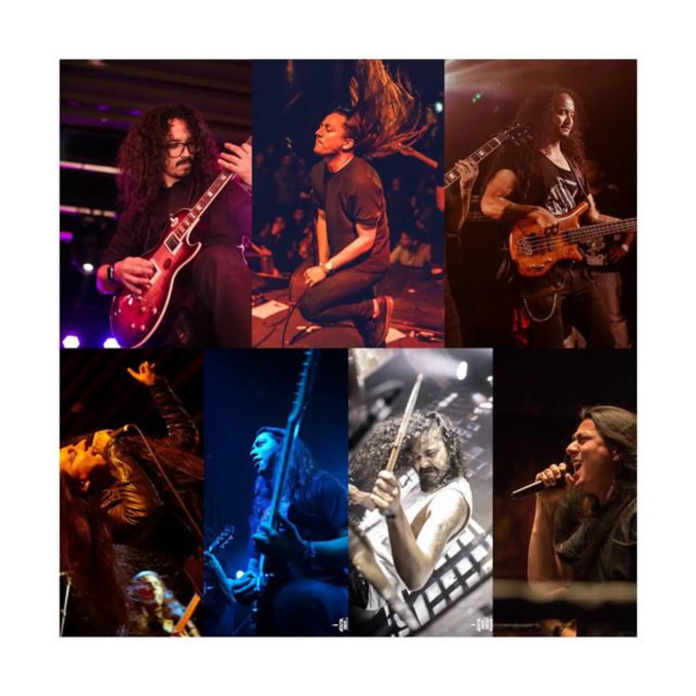 The Shadows 'Nepal' Brand Page