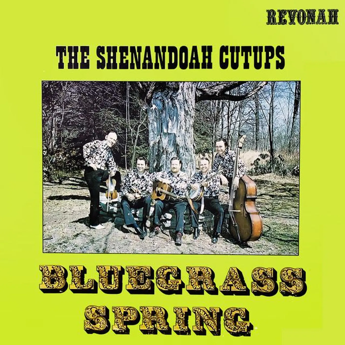 The Shenandoah Cut-Ups