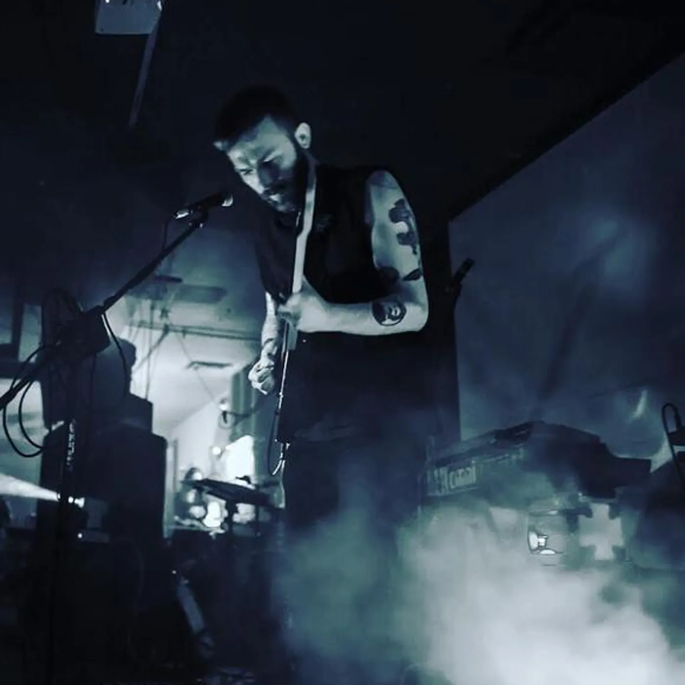 The Shyness of Strangers Brand Page