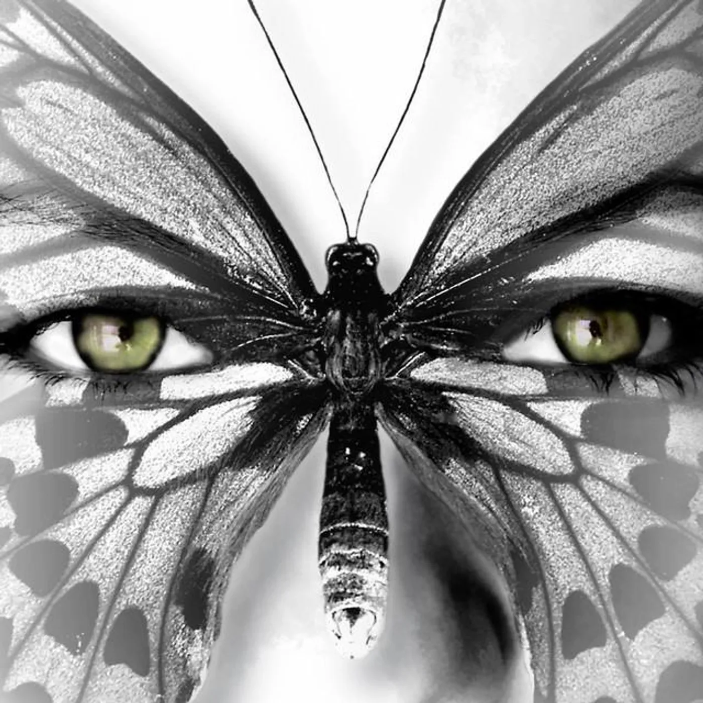 The Silk Demise Brand Page