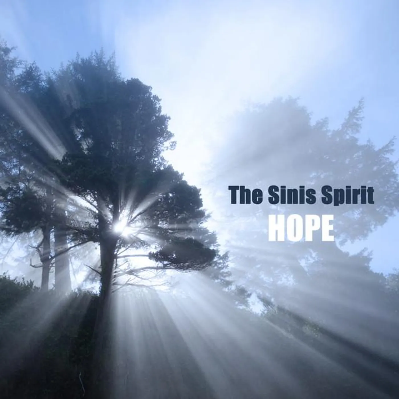The Sinis Spirit Brand Page