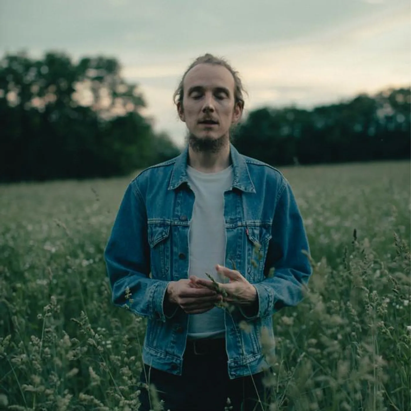 The Sleeping Tree Brand Page